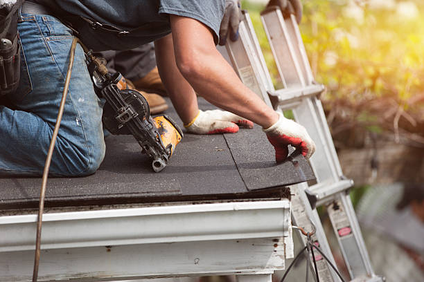 Best New Roof Installation  in Nekoosa, WI