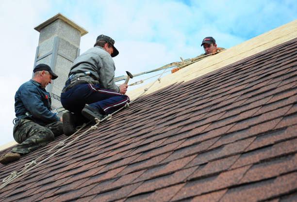 Best Shingle Roofing Installation  in Nekoosa, WI