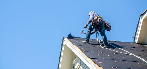 Best Commercial Roofing Services  in Nekoosa, WI